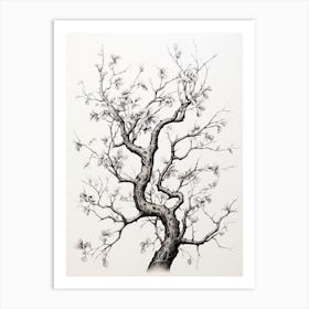 Tree Branches, Japanese Brush Painting, Ukiyo E, Minimal 4 Art Print