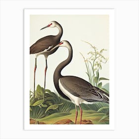 Crane James Audubon Vintage Style Bird Art Print