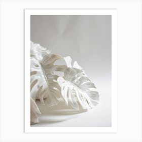 Monstera Leaves 1 Art Print