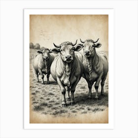 Three Cows In A Field Art Print