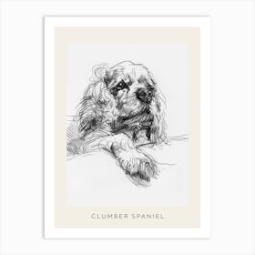 Clumber Spaniel Dog Line Sketch 4 Poster Art Print