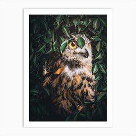 Owl In The Forest Art Print