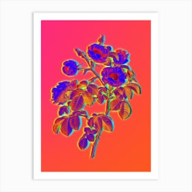 Neon Tomentose Rose Botanical in Hot Pink and Electric Blue n.0370 Art Print