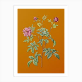 Vintage Cinnamon Rose Botanical on Sunset Orange Art Print