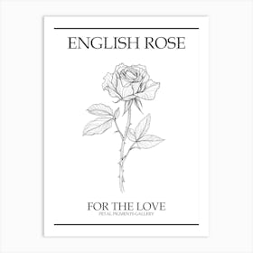 English Rose Black And White Line Drawing 34 Poster Art Print