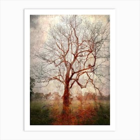 Gnarled Autumn Tree Art Print