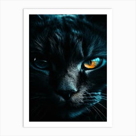 Black Cat With Orange Eyes Art Print