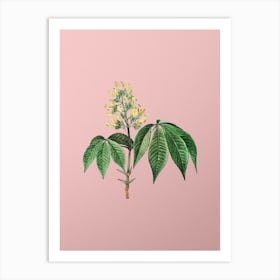 Vintage Yellow Buckeye Botanical on Soft Pink n.0957 Art Print