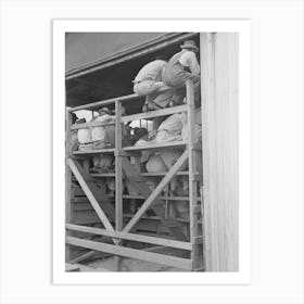 Untitled Photo, Possibly Related To Southeast Missouri Farms, Spectators At Auction Of Cattle Near Sikeston, Misso Art Print