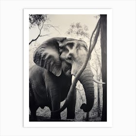 African Elephant Realism Portrait 6 Art Print