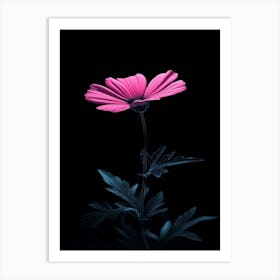 Pink Cosmos Flower 3 Art Print