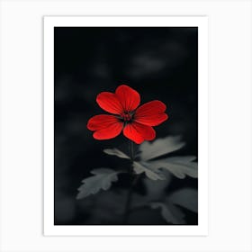 Geranium Flower Art Print