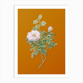 Vintage Ventenat's Rose Botanical on Sunset Orange n.0192 Art Print