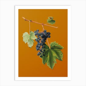 Vintage Grape Colorino Botanical on Sunset Orange n.0279 Art Print