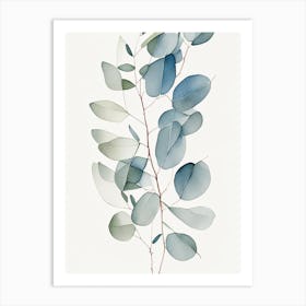 Eucalyptus Herb Minimalist Watercolour 3 Art Print