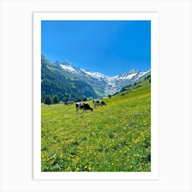 Cows Grazing In The Alps 1 Art Print