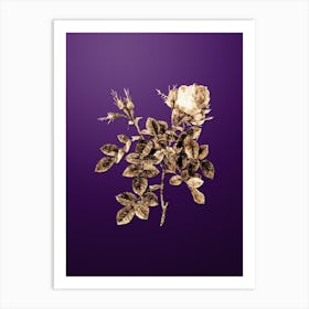 Gold Botanical Dwarf Damask Rose on Royal Purple n.2827 Art Print