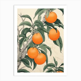 Tachibana Mandarin Orange 1 Vintage Japanese Botanical Art Print