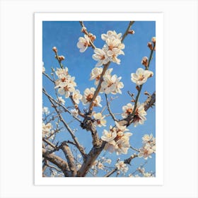 Blossoming Almond Tree 2 Art Print