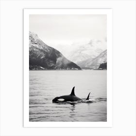 Black & White Icy Mountain Photography Style Of Orca Whale 3 Art Print