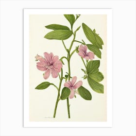 Alstromeria Vintage Botanical Flower Art Print