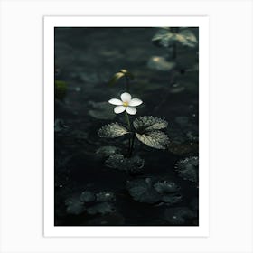 Single Flower In Water 8 Art Print