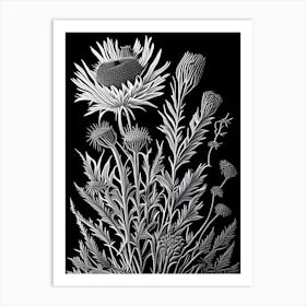 Thistle Wildflower Linocut 1 Art Print