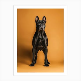 Black French Bulldog.Generated AI. Wall Art Print Art Print