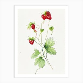 Alpine Strawberries, Plant, Minimalist Watercolour 2 Art Print