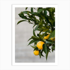 Italian Lemon Tree | Colorful travel photography Art Print