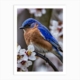 Eastern Bluebird-Reimagined 27 Art Print