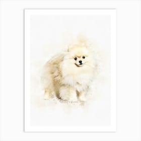 Small Spitz Dog Art Print