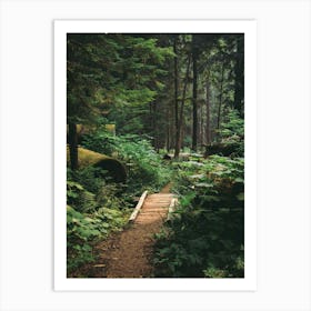 A Walk in the Woods II Art Print