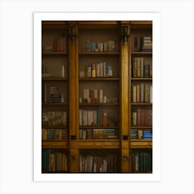 Books Book Shelf Shelves Knowledge Book Cover Gothic Old Ornate Library Art Print