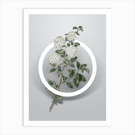 Vintage Germander Meadowsweet Minimalist Flower Geometric Circle on Soft Gray Art Print