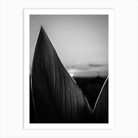 Black and white sunset, Granada, Spain Art Print