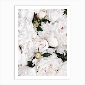 White Peonies Art Print