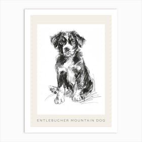 Entlebucher Mountain Dog Line Sketch 4 Poster Art Print