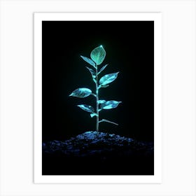 Green Plant On The Ground Art Print