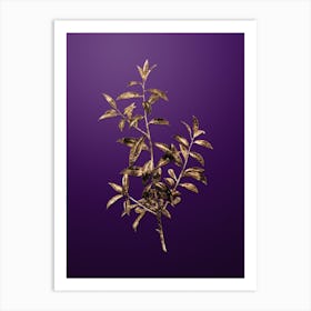 Gold Botanical Alabama Dahoon Branch on Royal Purple n.2738 Art Print
