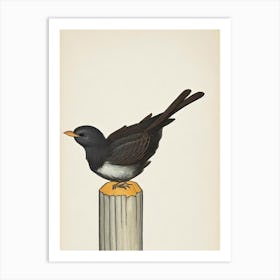 Chimney Swift Illustration Bird Art Print