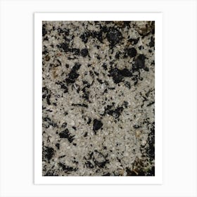 Black And White Granite Art Print