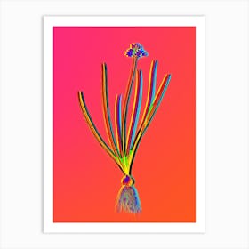 Neon Spring Squill Botanical in Hot Pink and Electric Blue n.0356 Art Print
