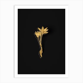 Vintage Autumn Crocus Botanical in Gold on Black n.0503 Art Print