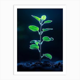 Young Green Plant On A Dark Background Art Print