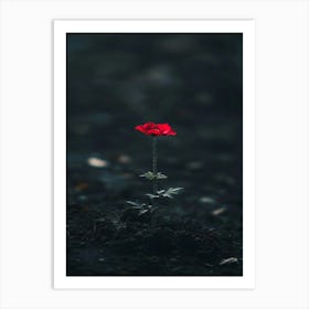 Single Red Flower 15 Art Print