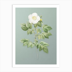 Vintage Leschenault's Rose Botanical Art on Mint Green n.0866 Art Print