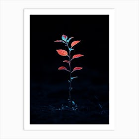 Plant In The Dark 12 Art Print