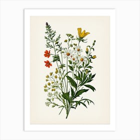 Vintage Botanical Galleria Style Wildflower Painting 37 Art Print