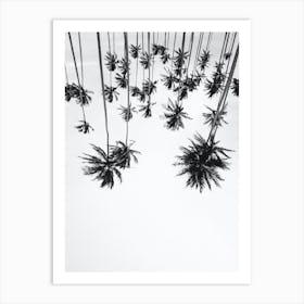 Palm Trees Up Side Down Black White Art Print